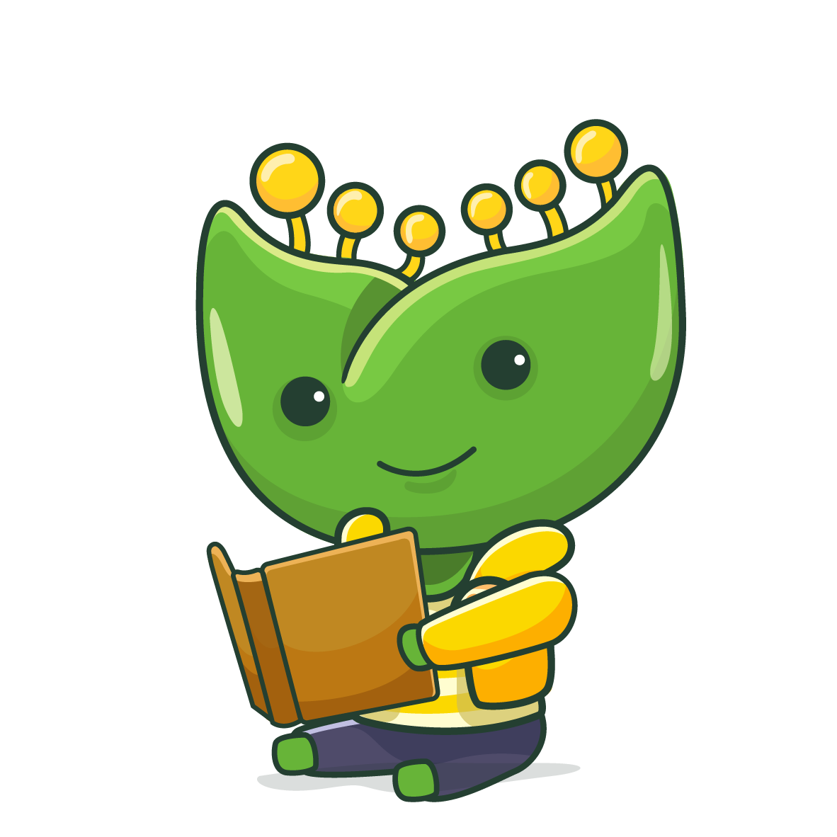 akasia digital creative